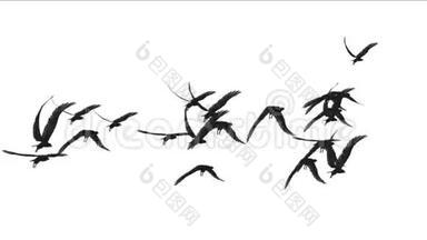 鸟群飞过来，候鸟动物背景。